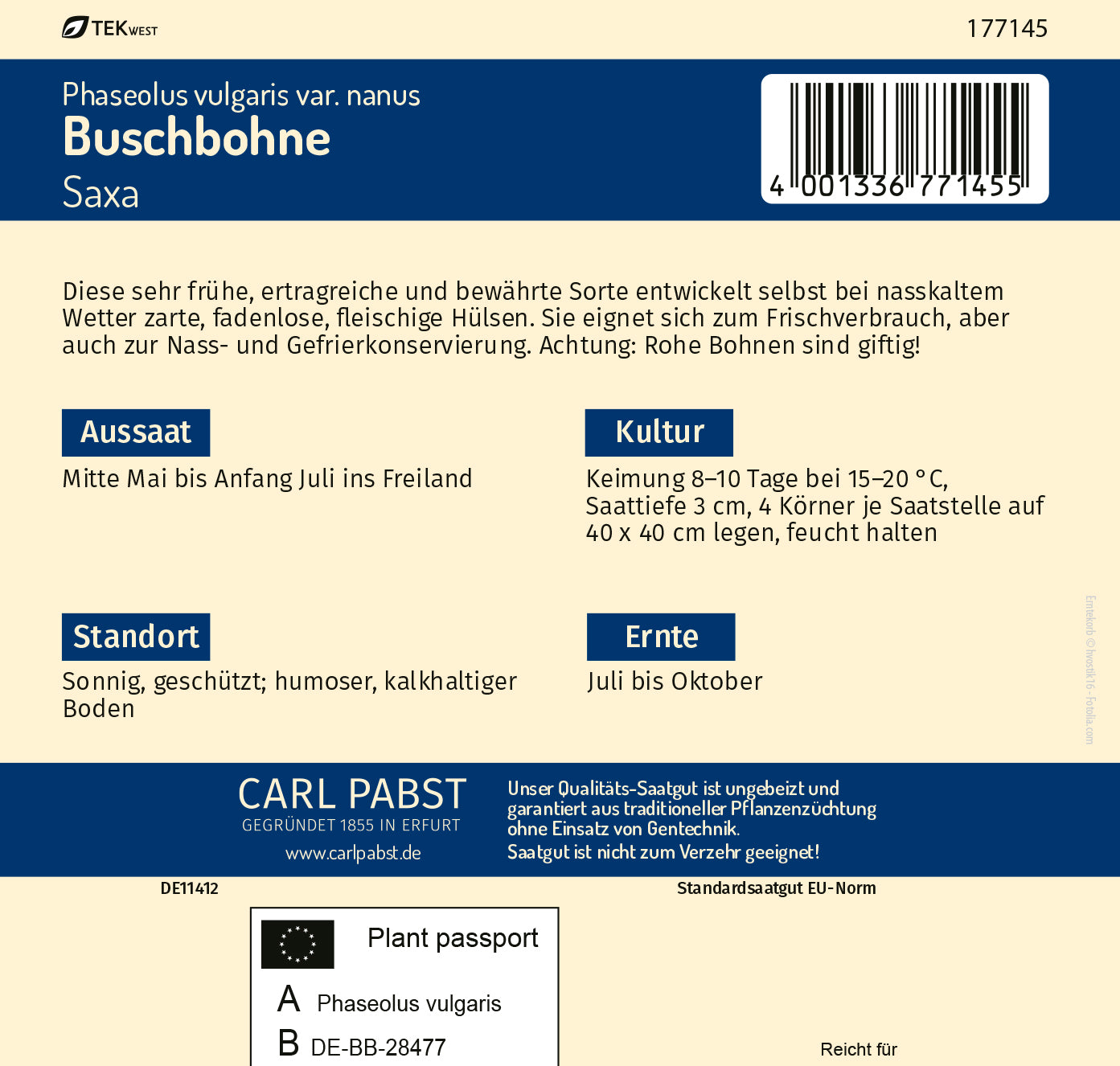 Buschbohne sehr früh & raschwüchsig Saxa