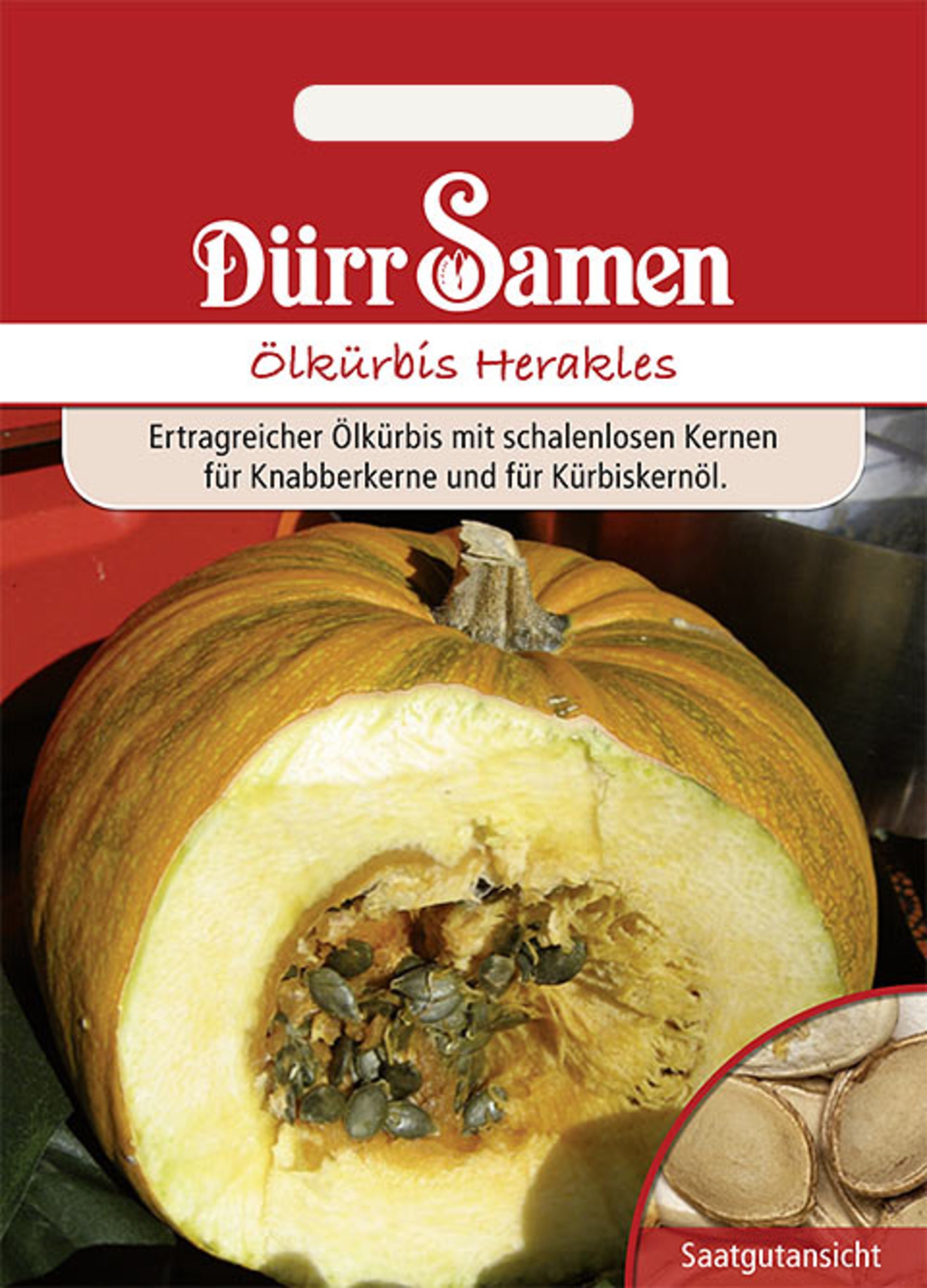 Ölkürbis Herakles