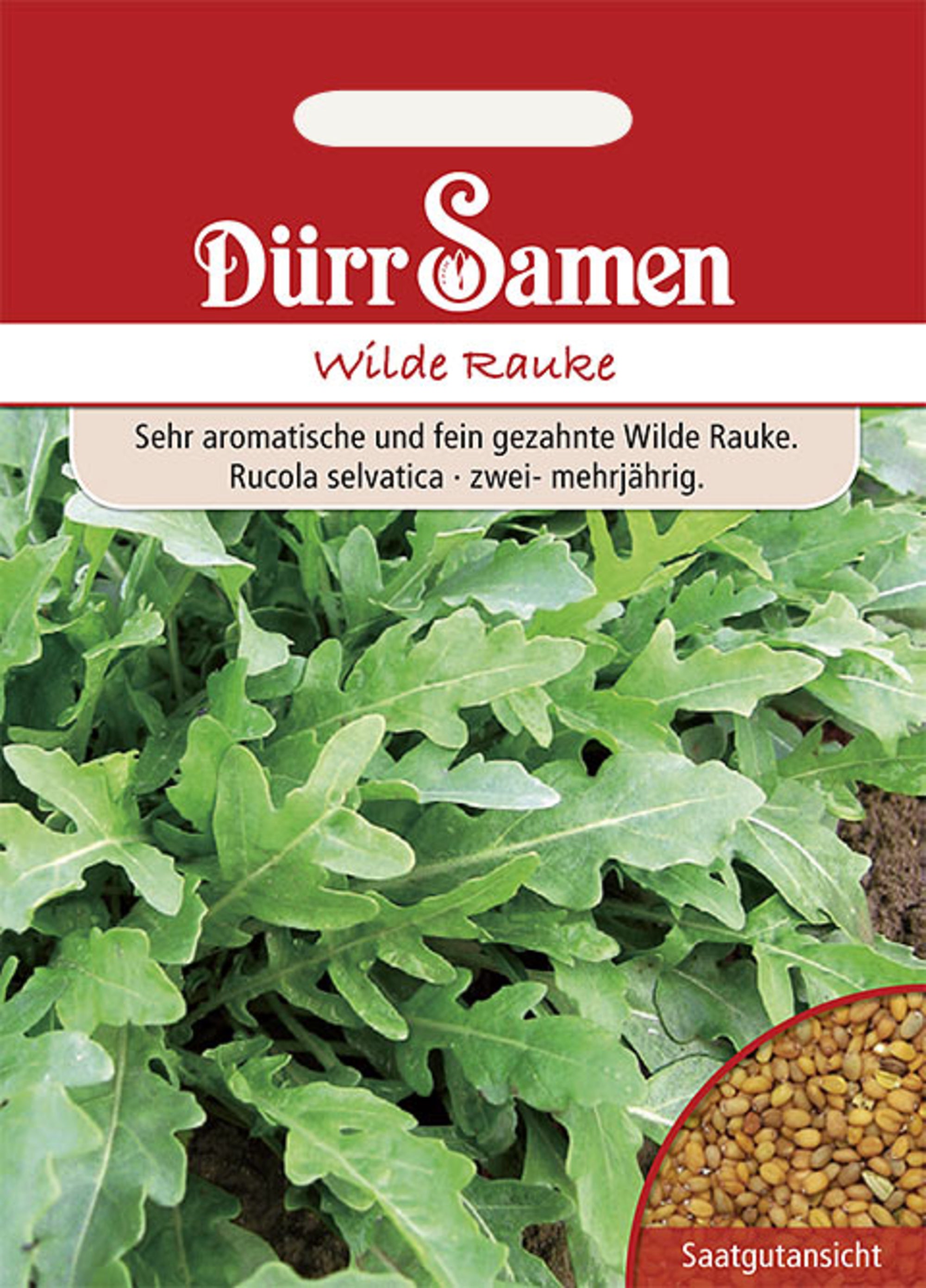 Wilde Rauke