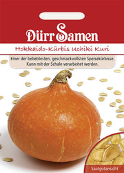 Hokkaido-Kürbis Uchiki Kuri