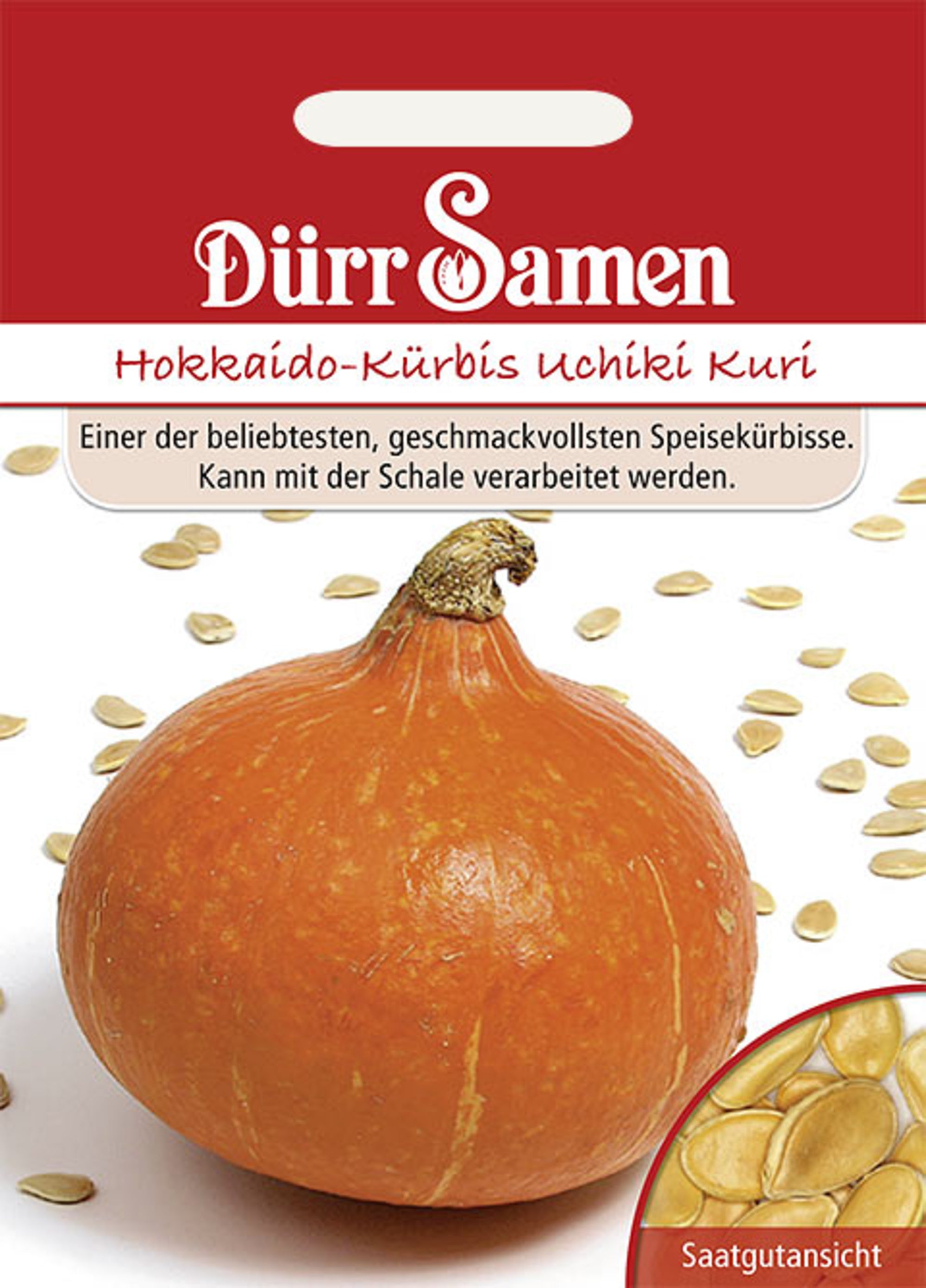 Hokkaido-Kürbis Uchiki Kuri