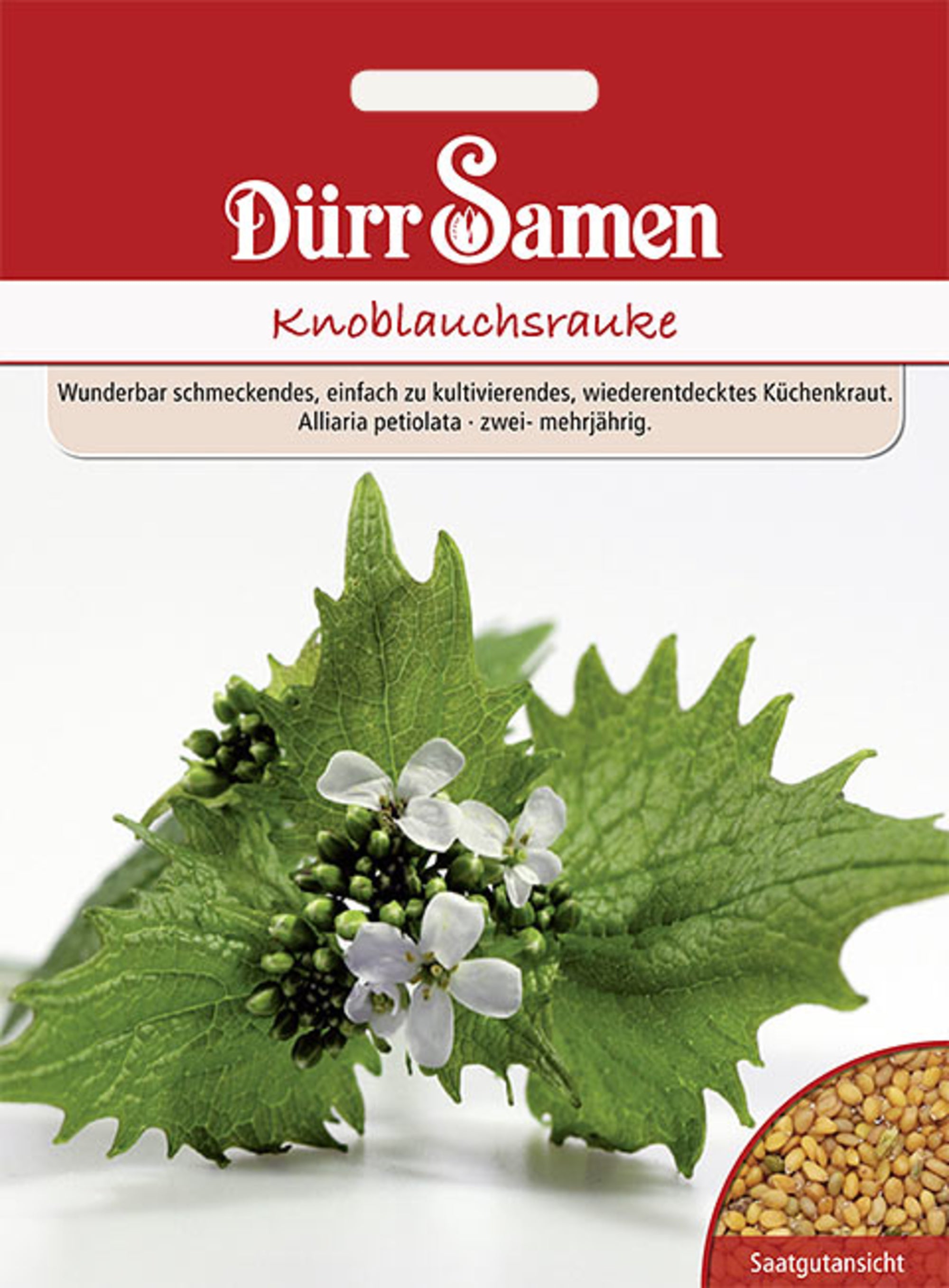 Knoblauchrauke