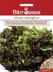 Winter-Lattughino