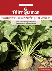 Futterrüben Eckendorfer gelbe Walzen