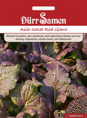 Asia-Salat Red Giant