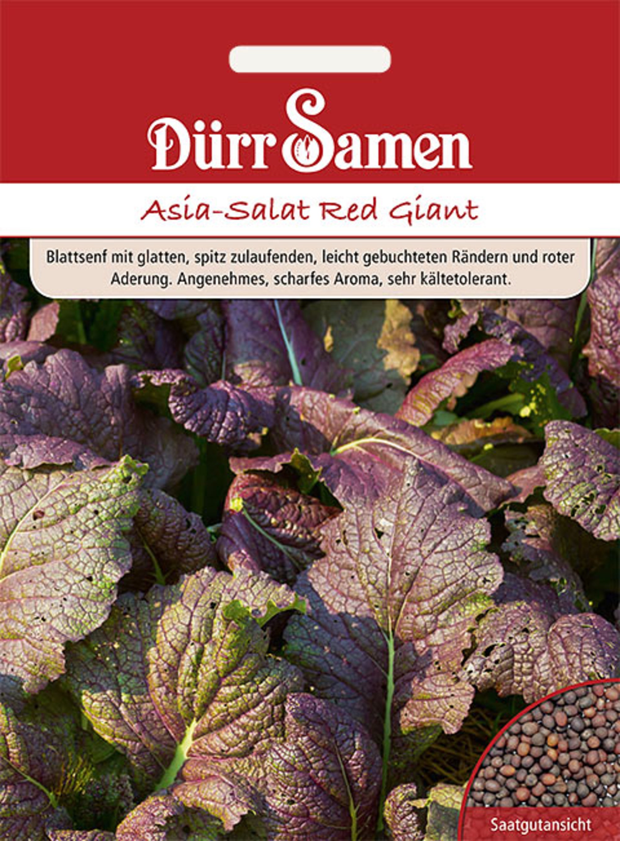Asia-Salat Red Giant