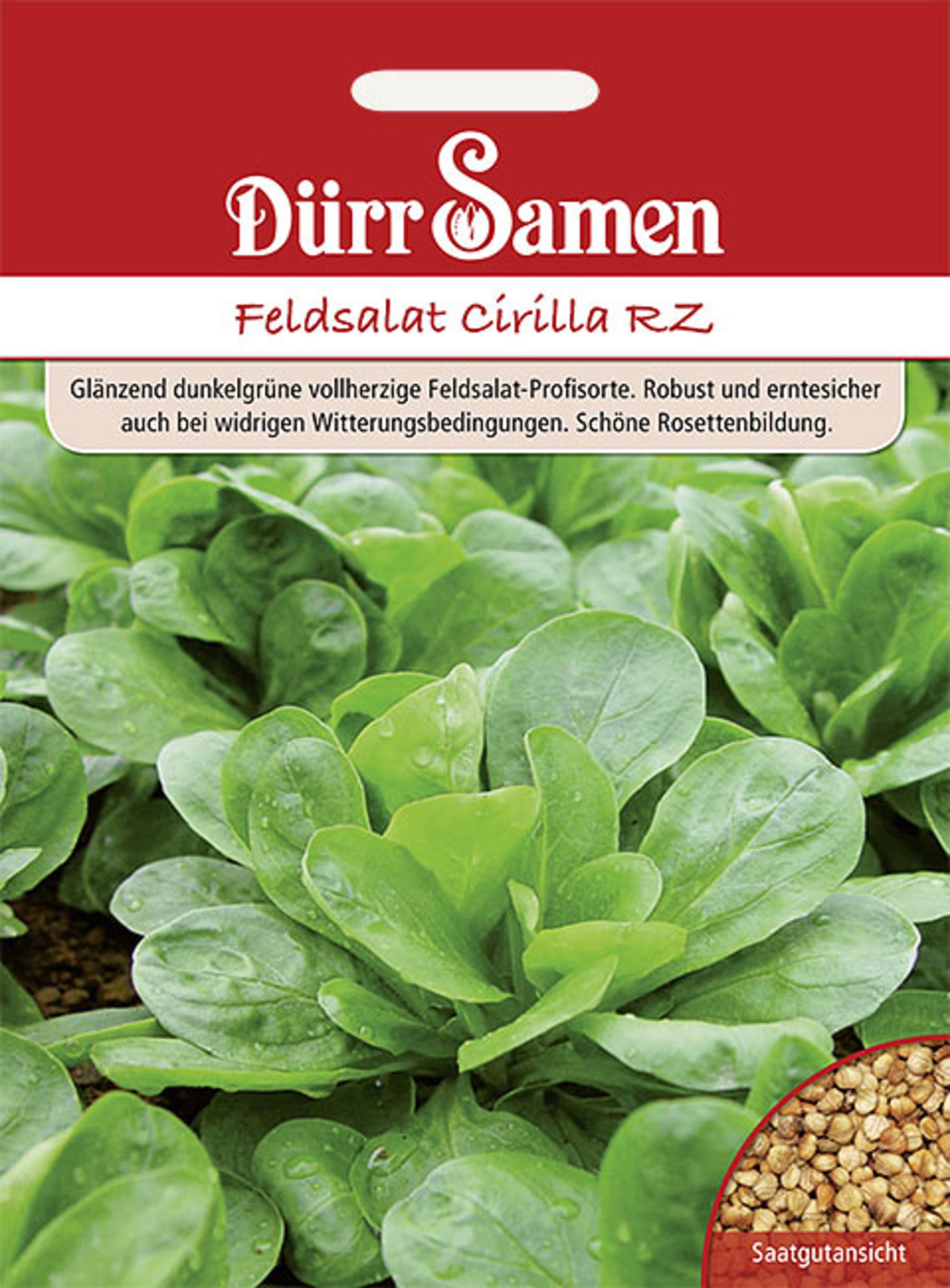 Feldsalat Cirilla RZ