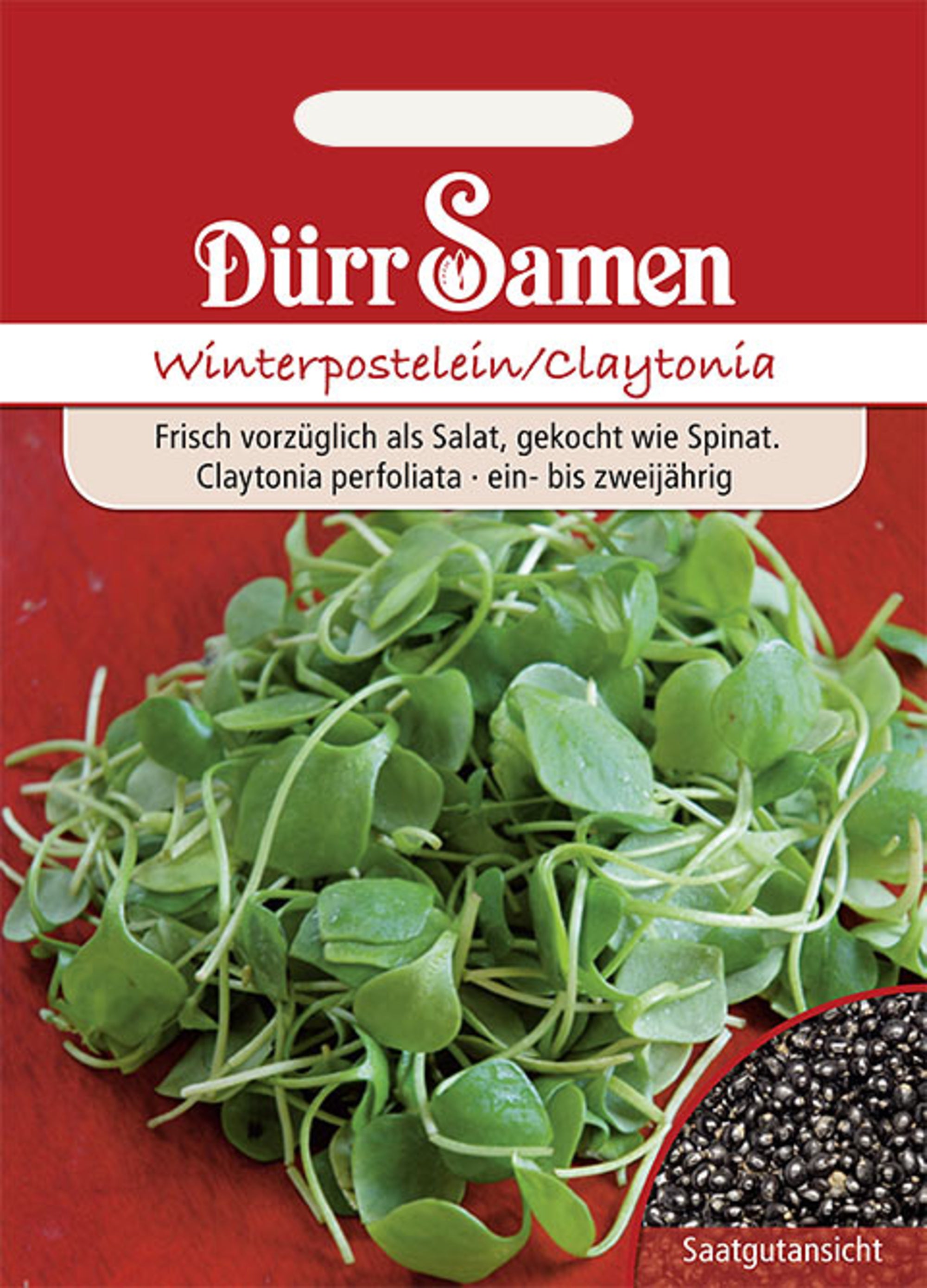 Winterpostelein