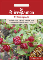 Erdbeerspinat