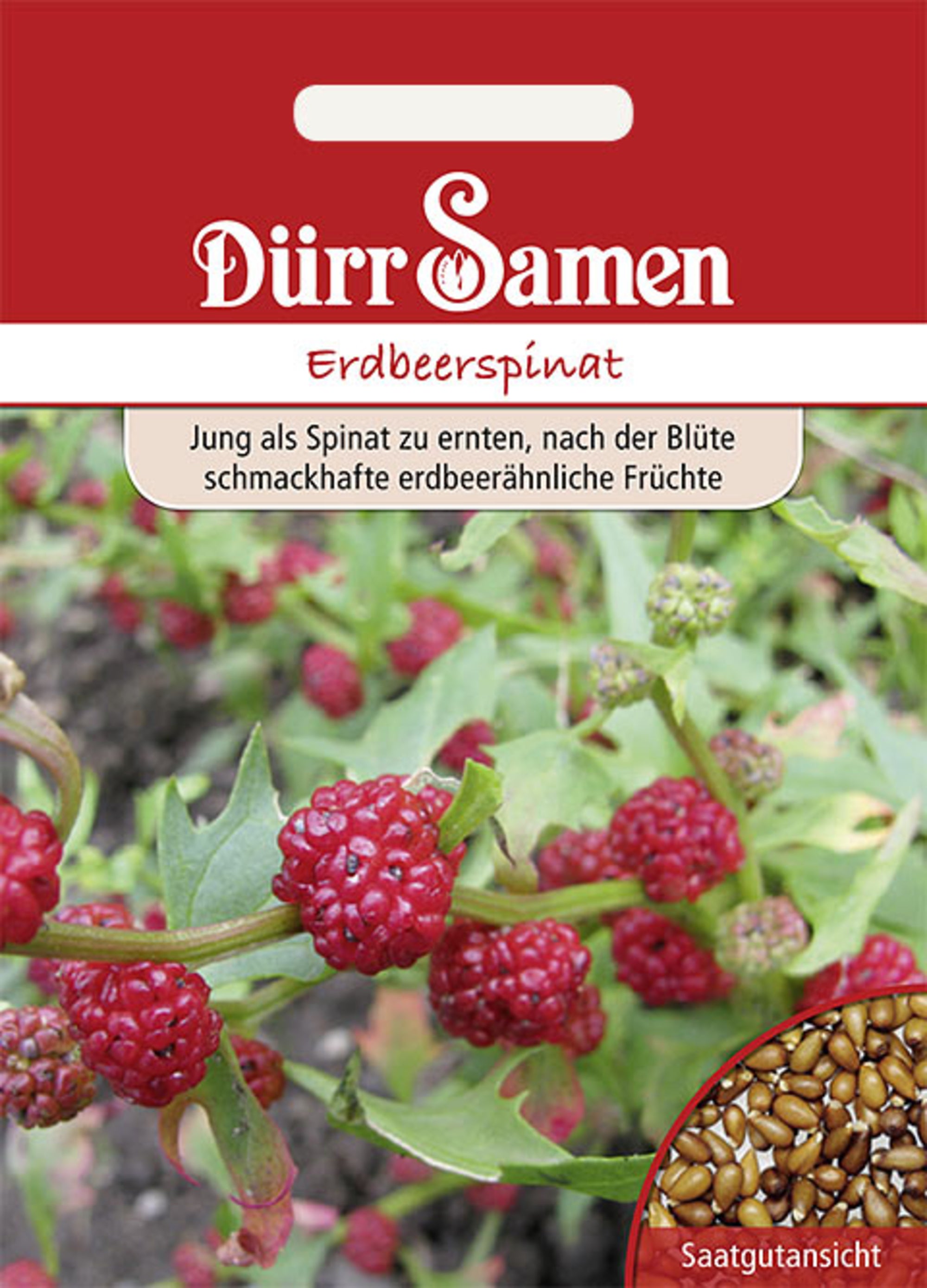 Erdbeerspinat