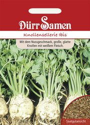 Knollensellerie Ibis Saatgut