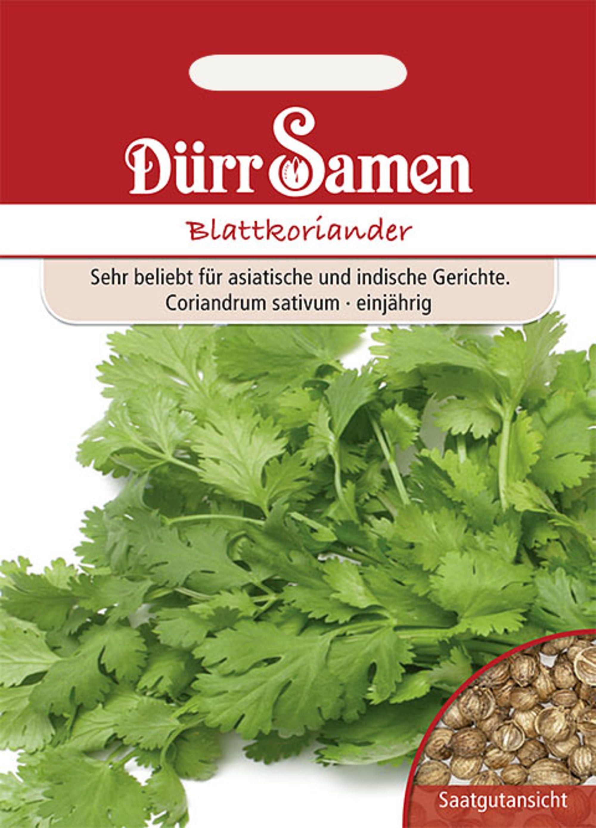 Blattkoriander