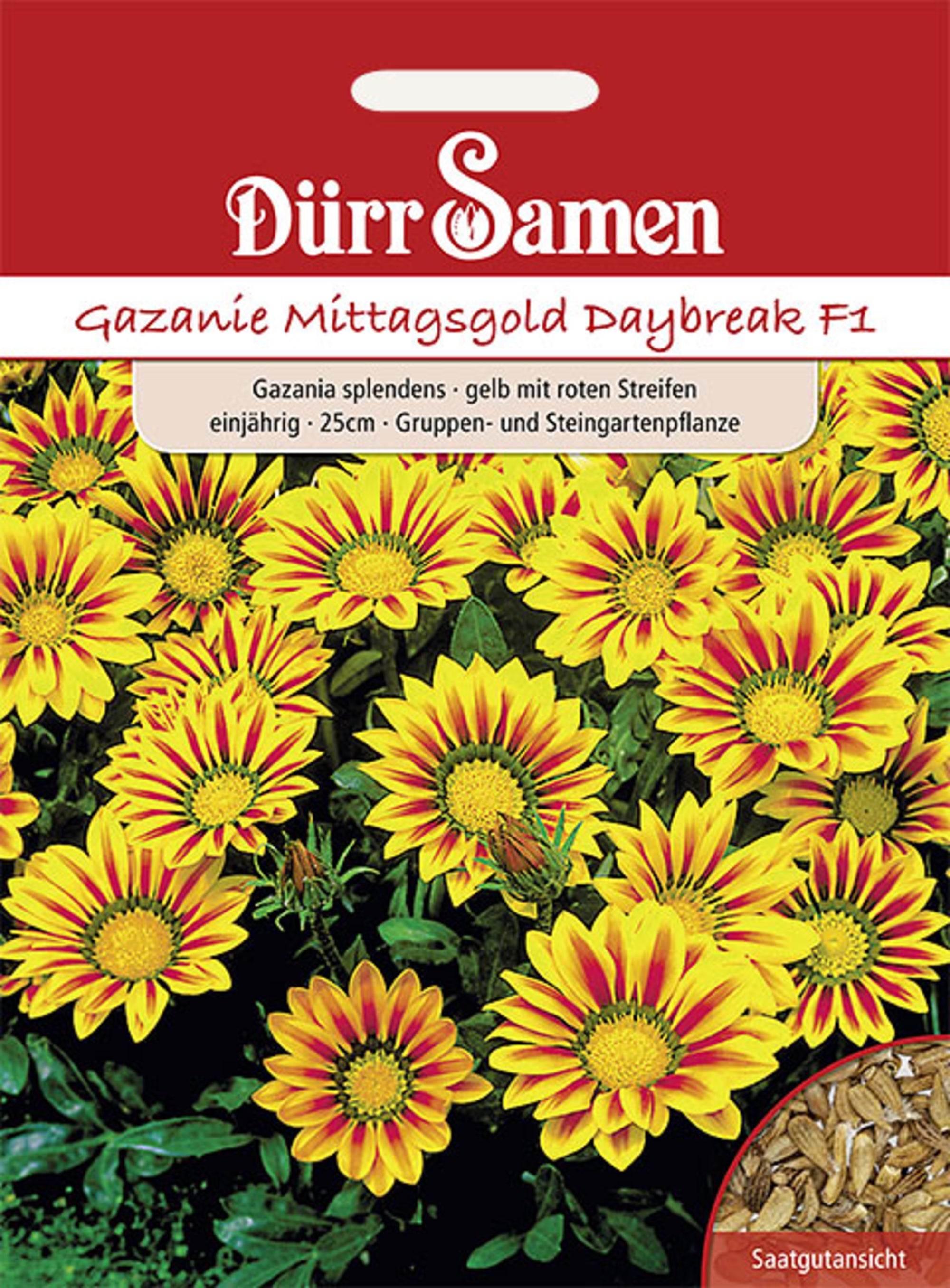 Gazanie Mittagsgold Daybreak F1