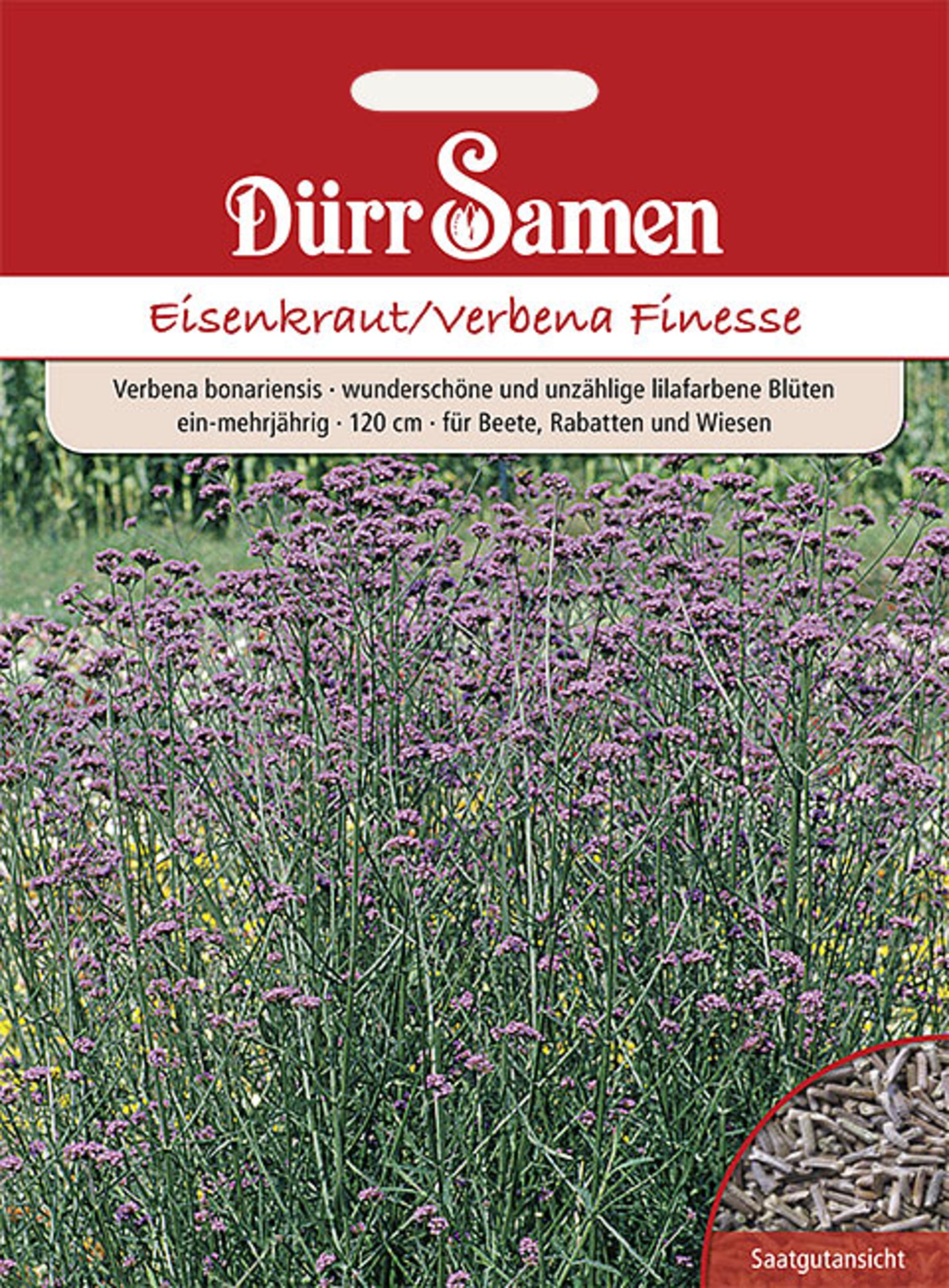 Eisenkraut Finesse lilafarbene Blüten ein-mehrjährig