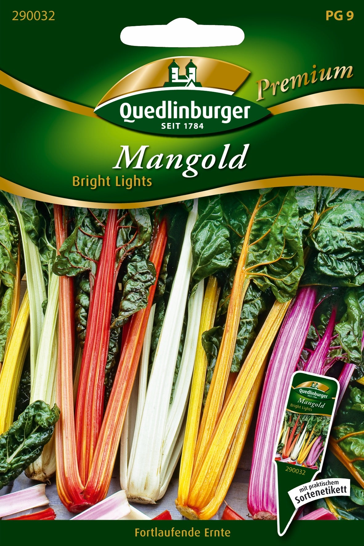 Mangold Bright Lights