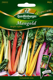 Mangold Bright Lights