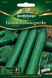 Gewächshausgurken Saturn