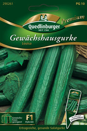 Gewächshausgurken Louisa