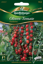Tomaten Oliven Pandorino