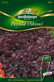 Perilla rot