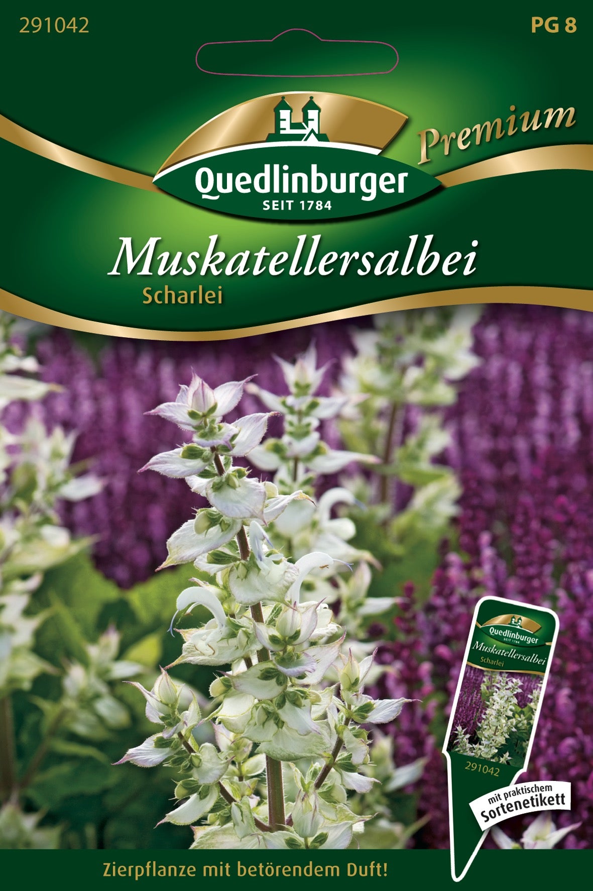 Muskateller-Salbei Scharlei