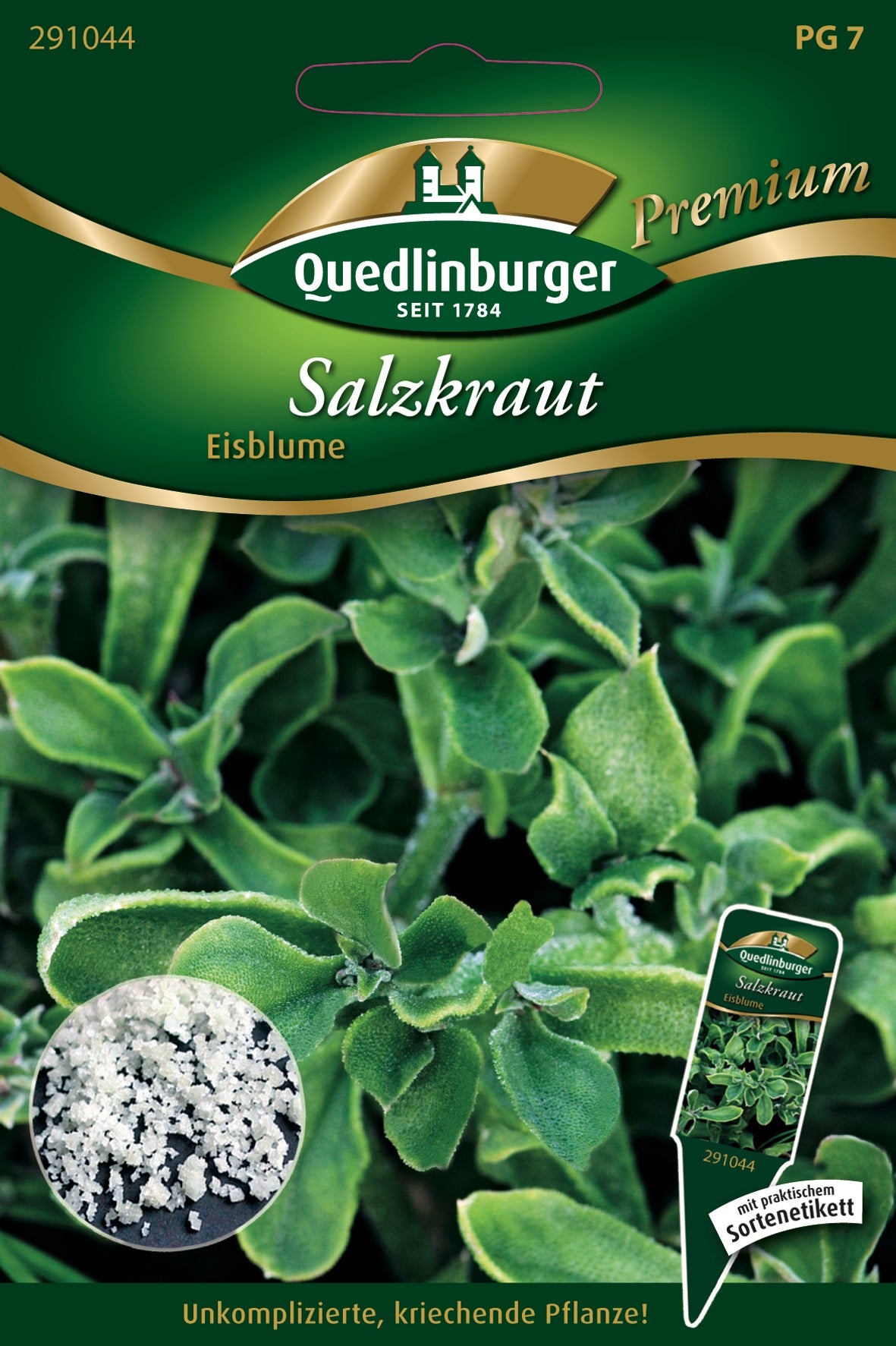 Salzkraut Eisblume