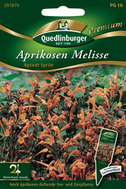 Aprikosen Melisse