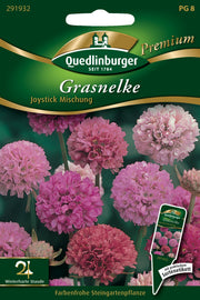 Gras-Nelken Joystick Mischung