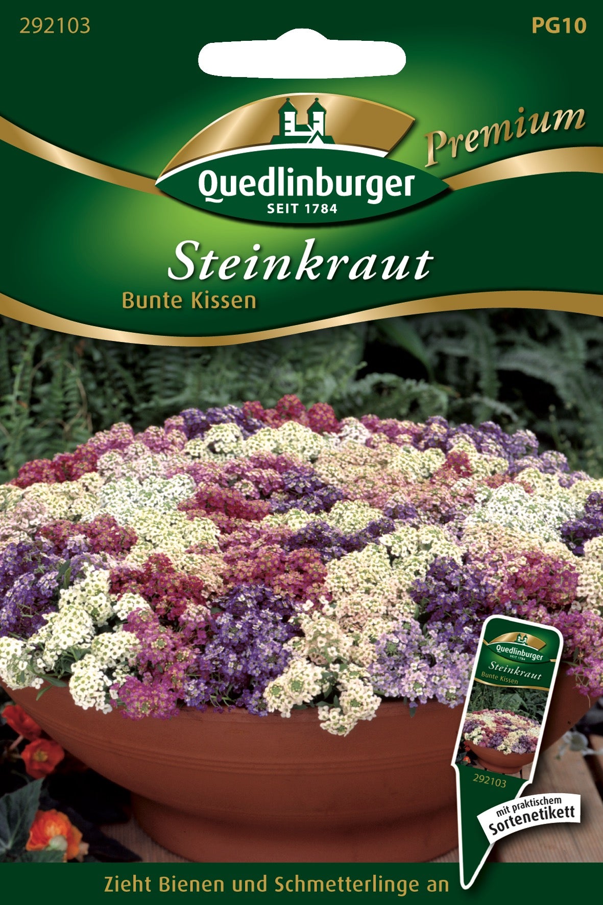 Steinkraut bunte Kissen