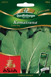Komatsuna Green Boy