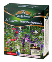 Schmetterlingstreffpunkt