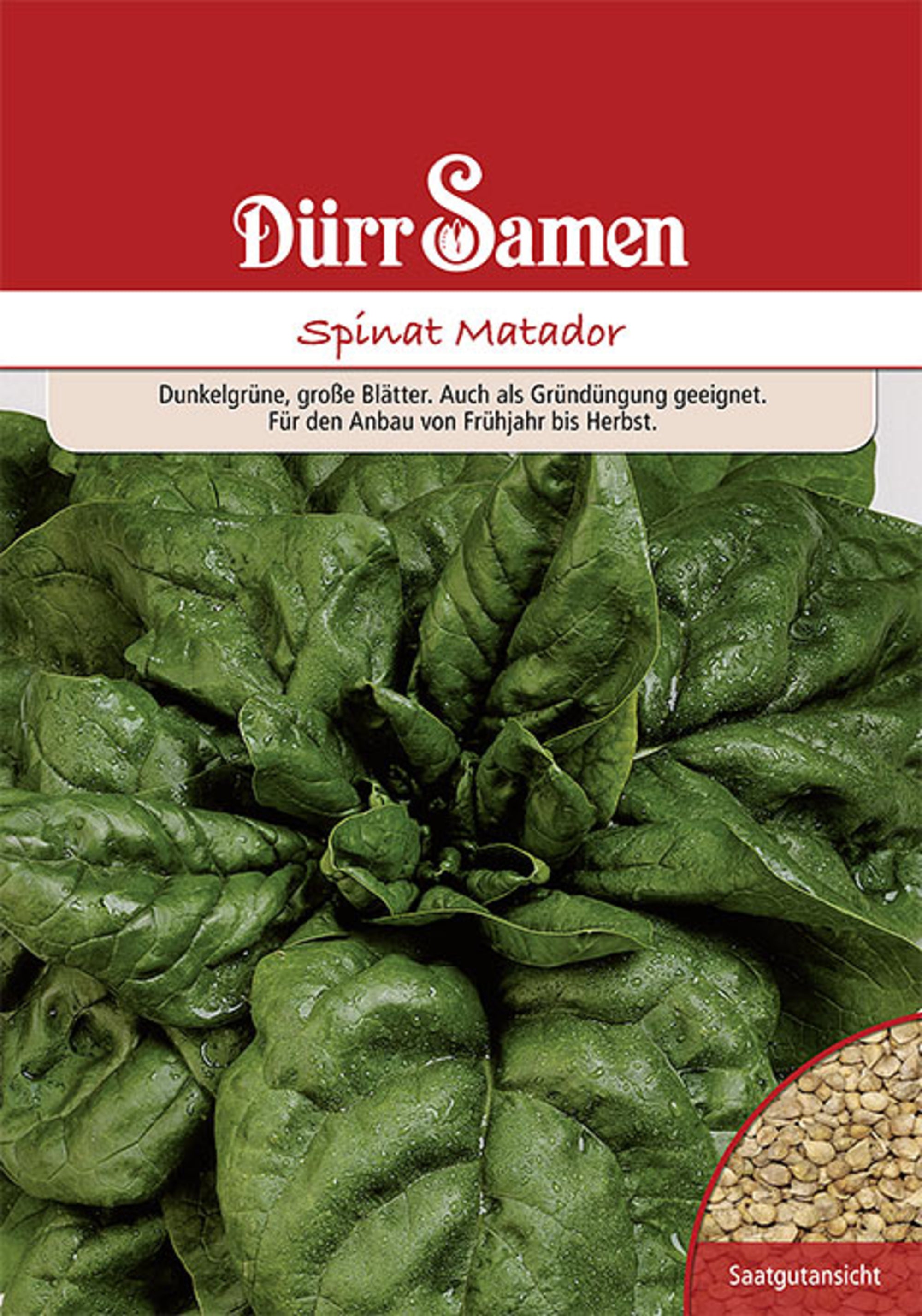 Gründüngung Spinat Matador 250 g