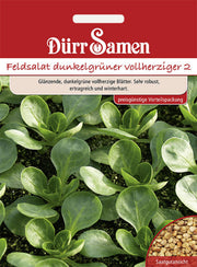 Feldsalat Dunkelgrüner vollherziger (Vorteilspackung)