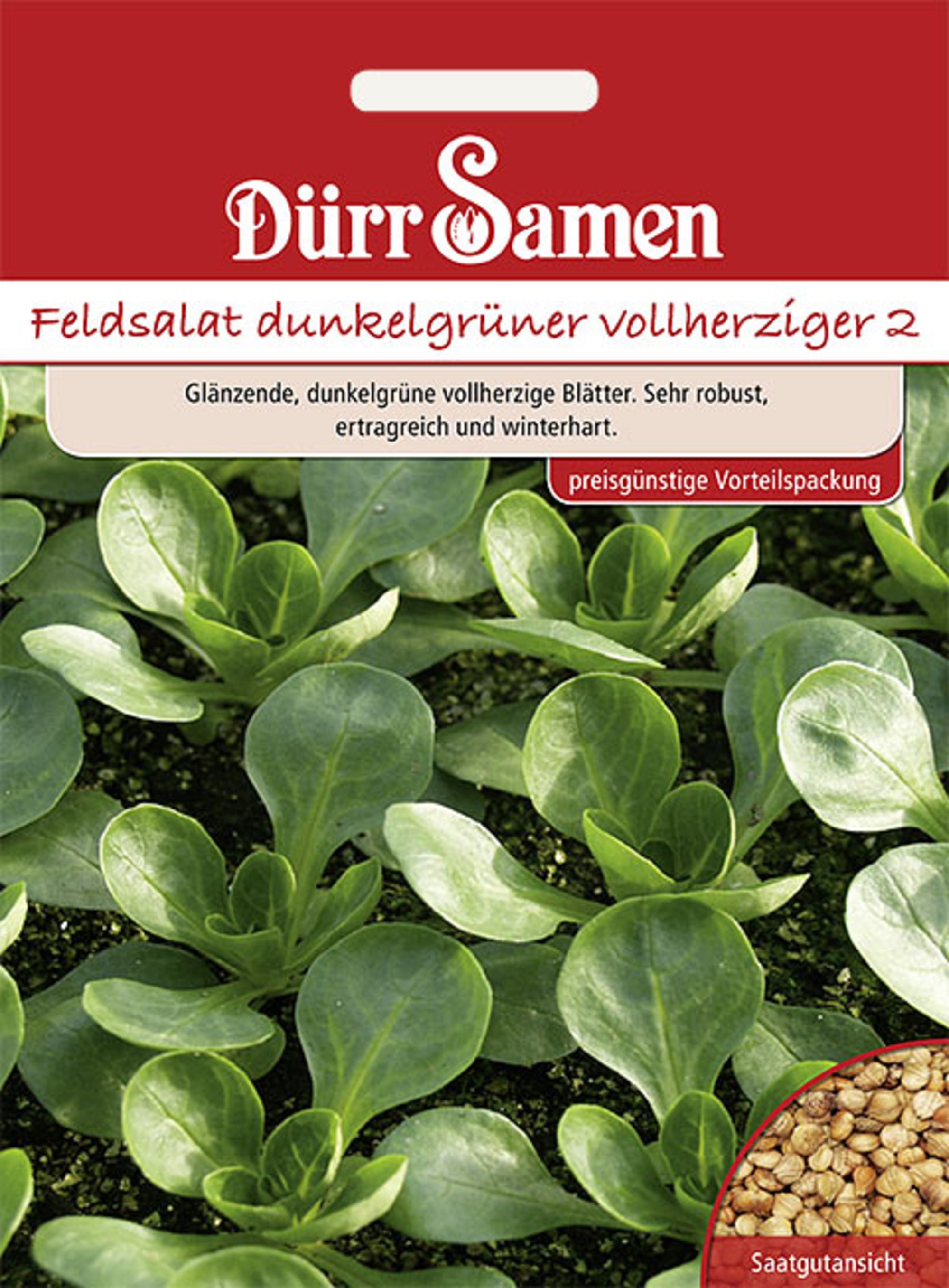 Feldsalat Dunkelgrüner vollherziger (Vorteilspackung)