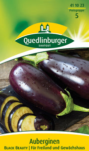 Auberginen Black Beauty