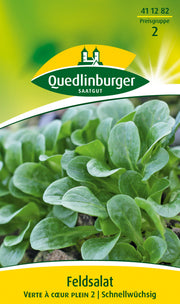 Feldsalat Verte a couer plein 2
