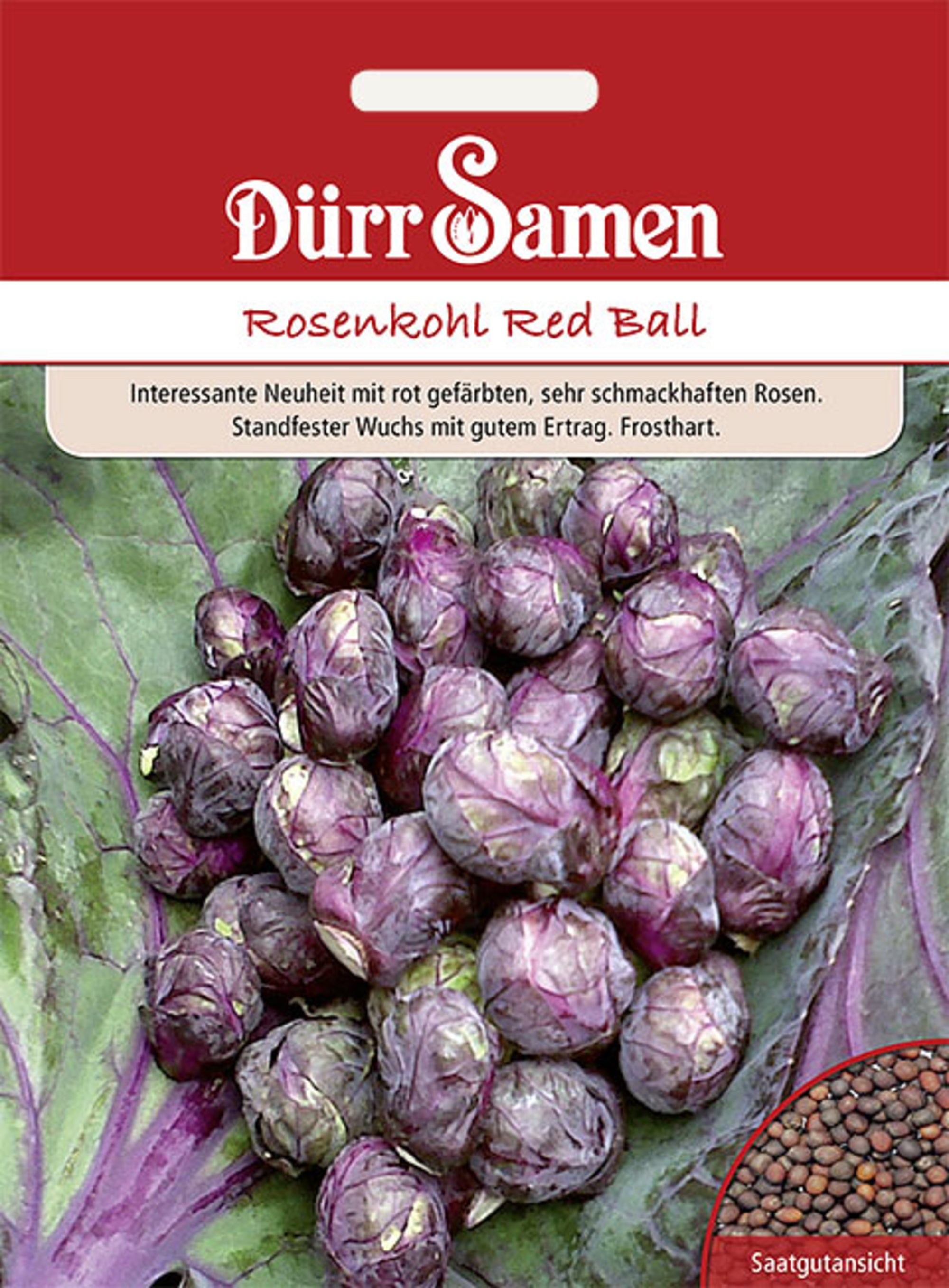 Rosenkohl Red Ball