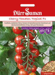 Kirsch-Tomaten Tropical F1
