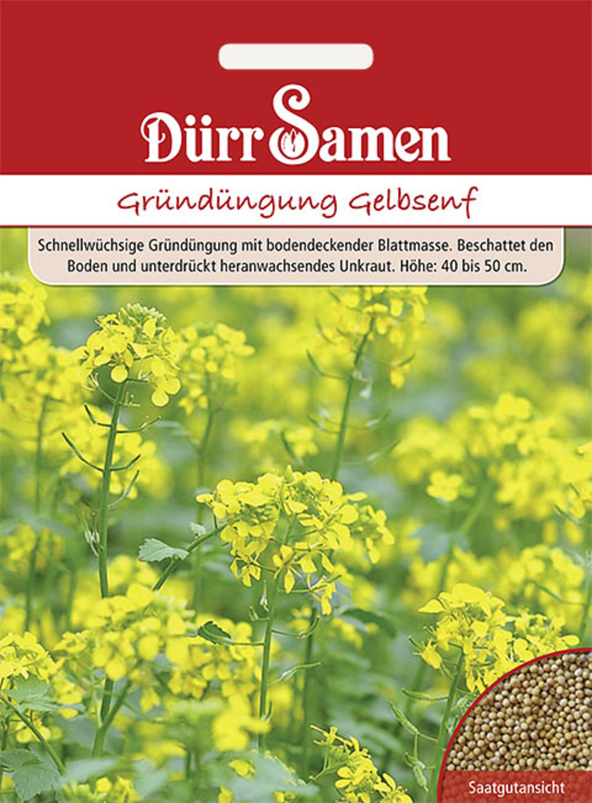 Gründüngung Gelbsenf 80 g