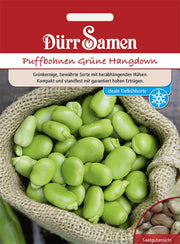 Puffbohnen Grüne Hangdown
