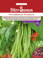 Feuerbohnen Firestorm
