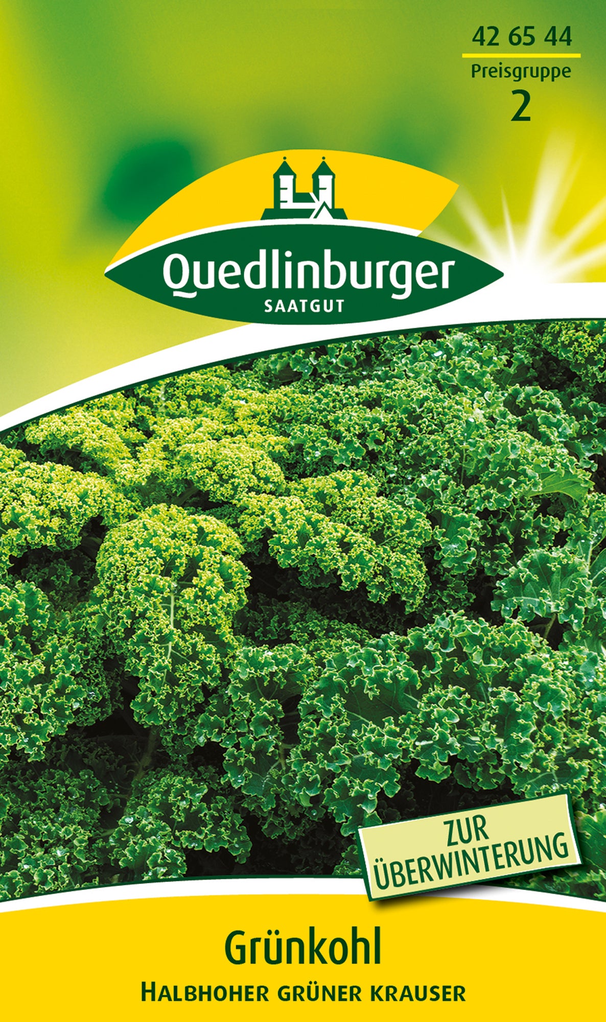 Grünkohl Halbhoher grüner krauser