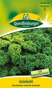 Grünkohl Halbhoher grüner krauser
