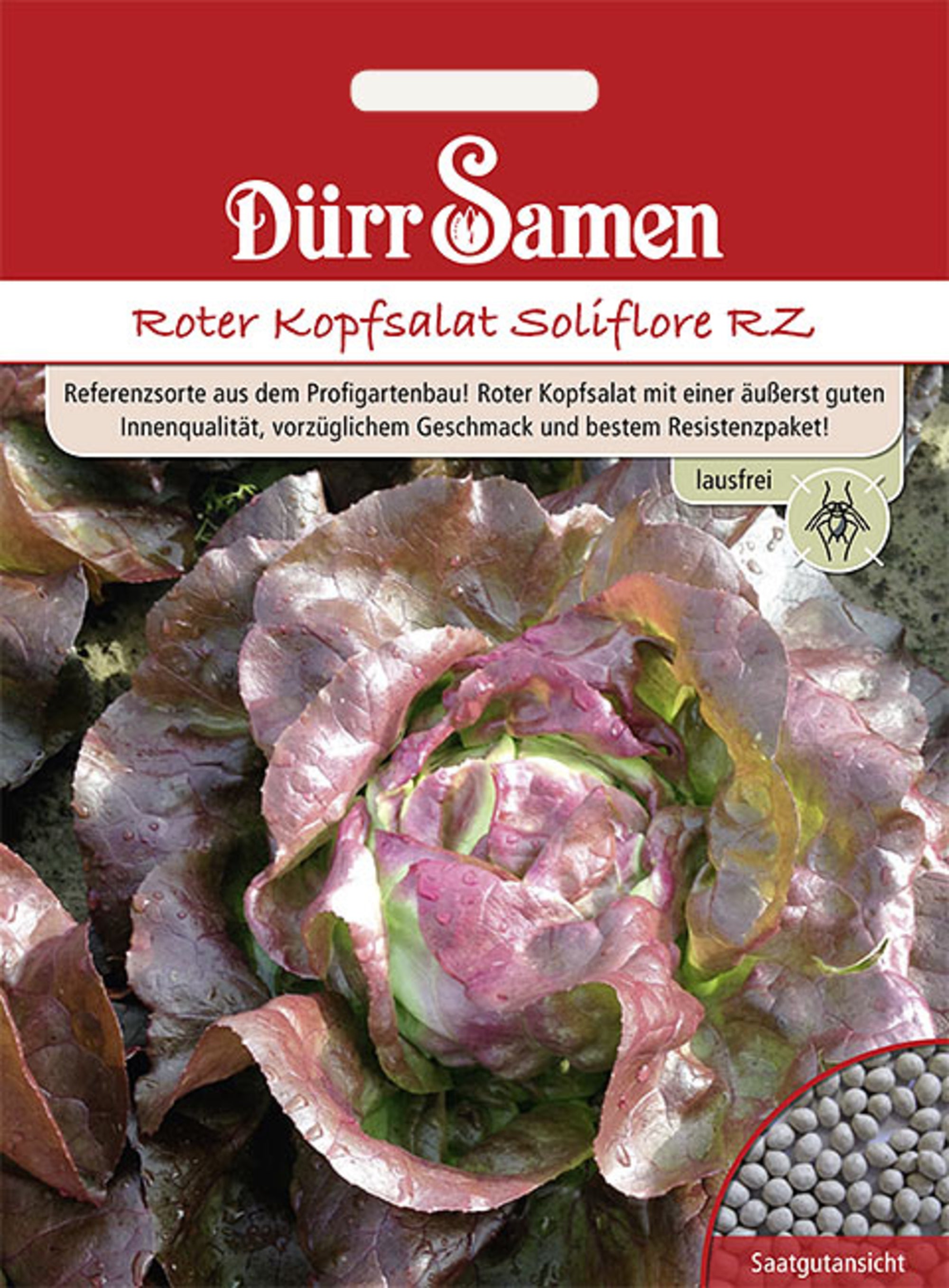 Roter Kopfsalat Soliflore RZ