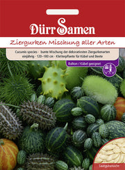 Ziergurken Bunte Mischung aller Arten einjährig 120-180 cm