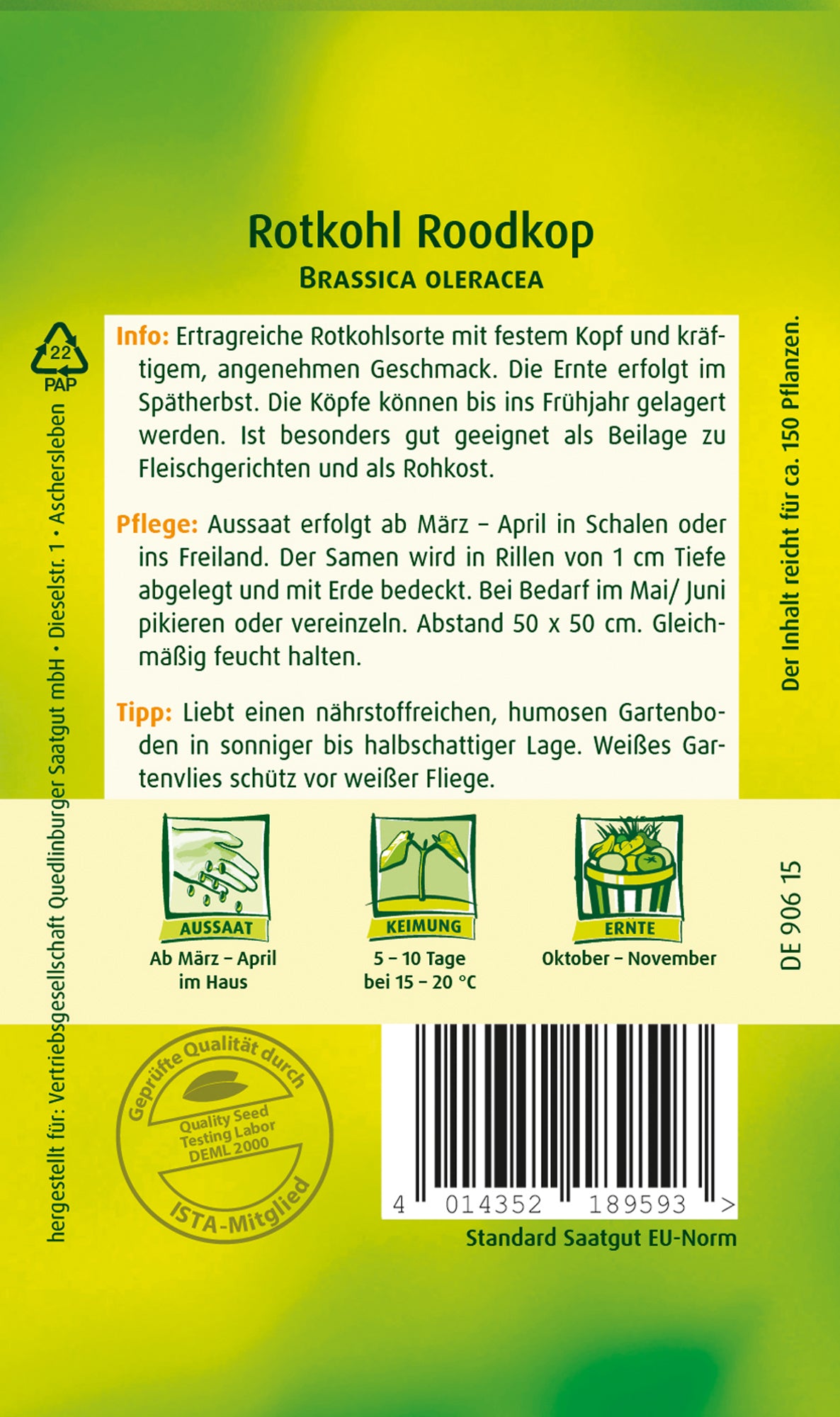 Rotkohl Roodkop 2