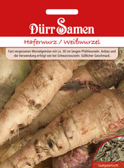 Haferwurz / Weißwurzel