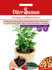 Zwerg-Kaffeestrauch