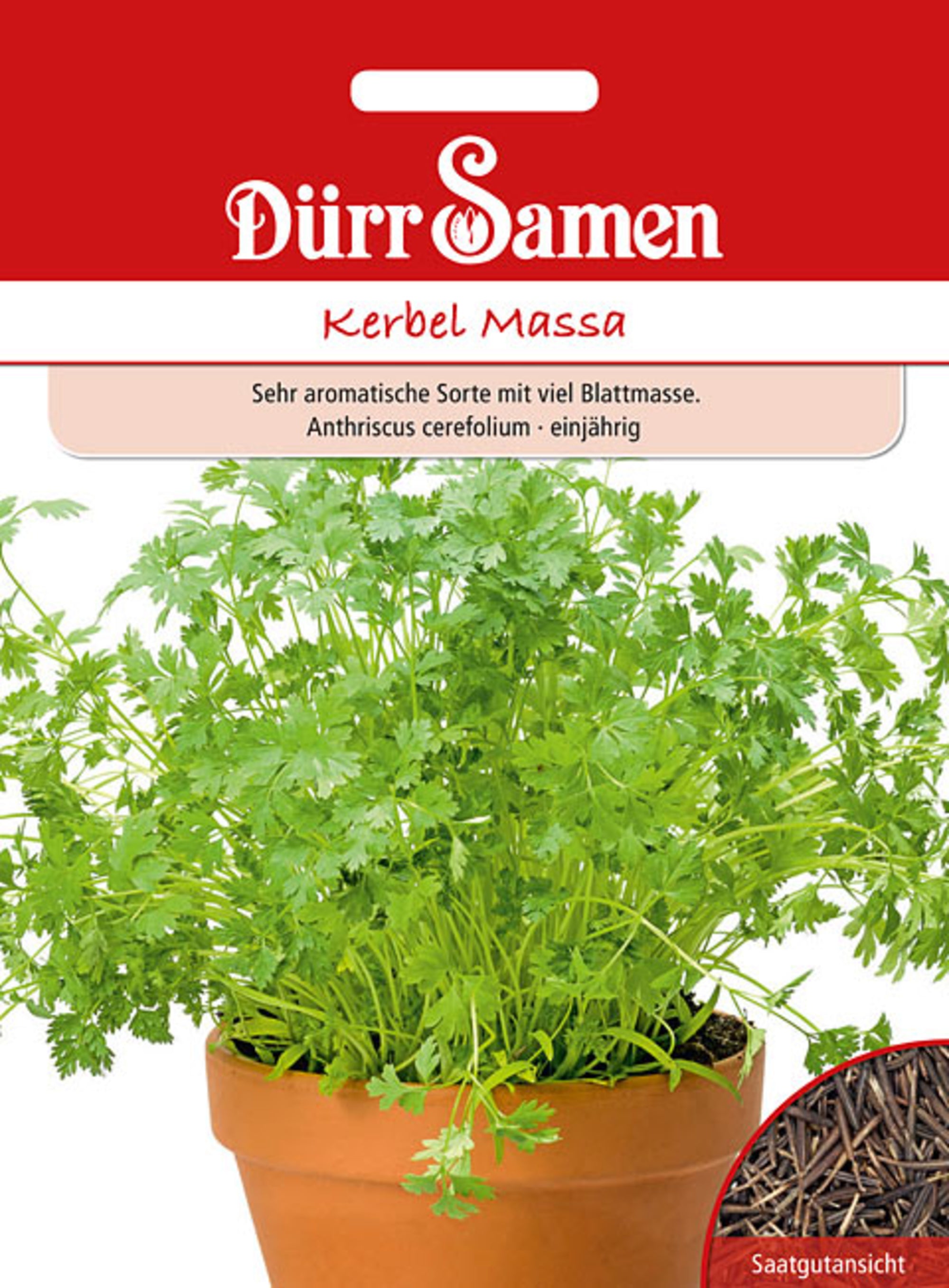 Kerbel Massa