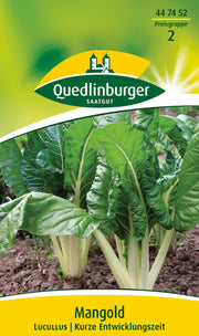 Mangold Lucullus